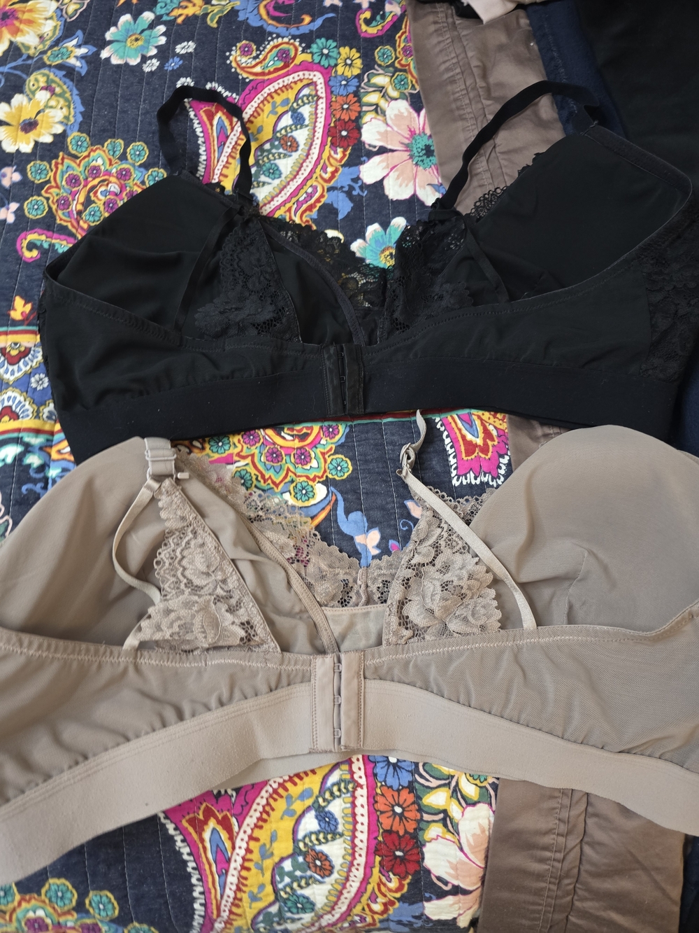 Maurices Lace Bralette Duo in Black & Taupe - Picture 2 of 8